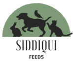 siddiqui